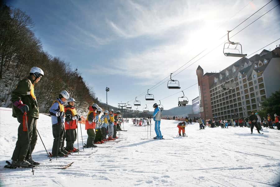 Korea Ski Tour from Seoul - Jisan Resort with Isaac Toast - The Ski Lesson: A Gentle Introduction