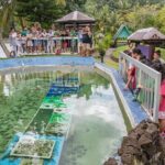 Koror City Tour - Practical Details and Tips