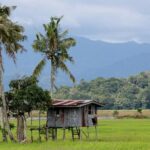 Kota Belud Sunday Market Tour from Kota Kinabalu - Exploring the Kota Belud Sunday Market Tour