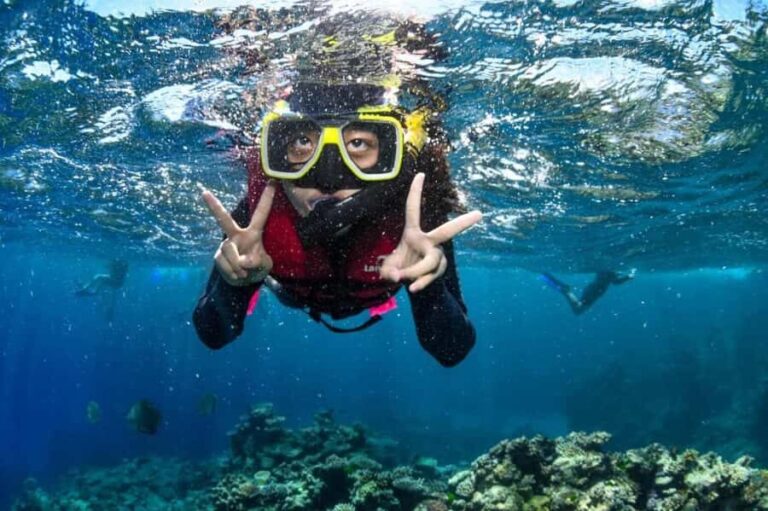 Kota Kinabalu: 1-Day Mengalum Isle & Mengkabong River Cruise - Breakdown of the Itinerary and Experience