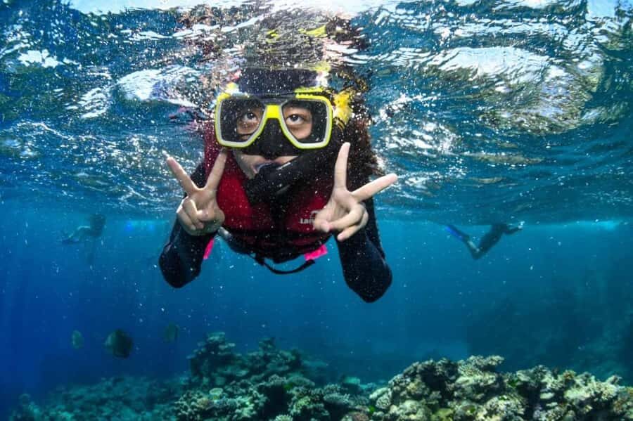 Kota Kinabalu: 1-Day Mengalum Isle & Mengkabong River Cruise - Breakdown of the Itinerary and Experience