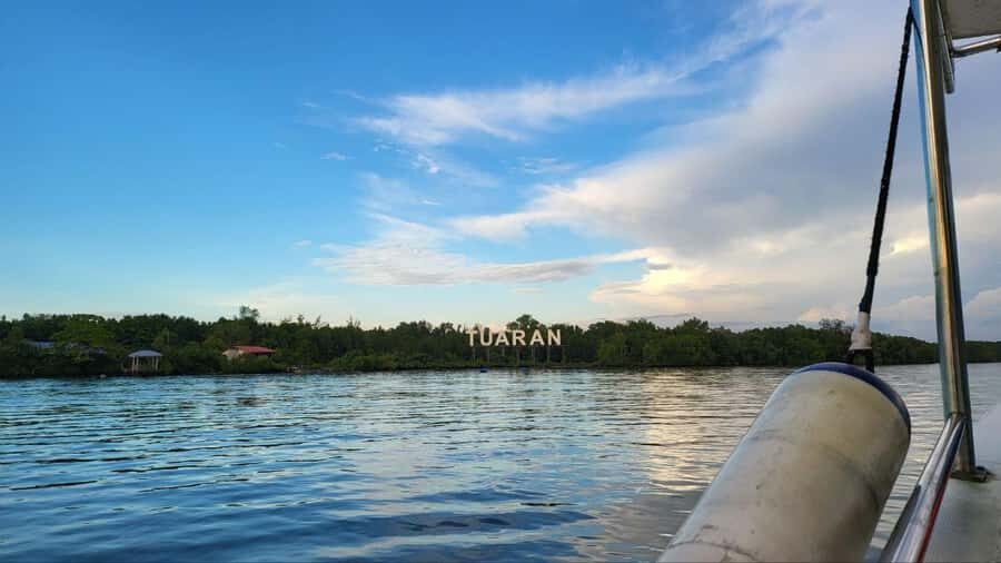 Kota Kinabalu: Mengkabong Fireflies River Cruise - An In-Depth Look at the Mengkabong Fireflies River Cruise