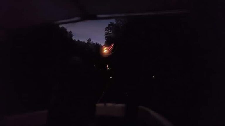 Kota Kinabalu: Mengkabong Fireflies River Cruise - The Sum Up