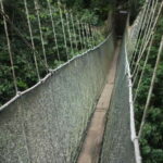 Kota Kinabalu: Private Kundasang and Poring Hot Spring Tour - Final Thoughts: Is It Worth It?