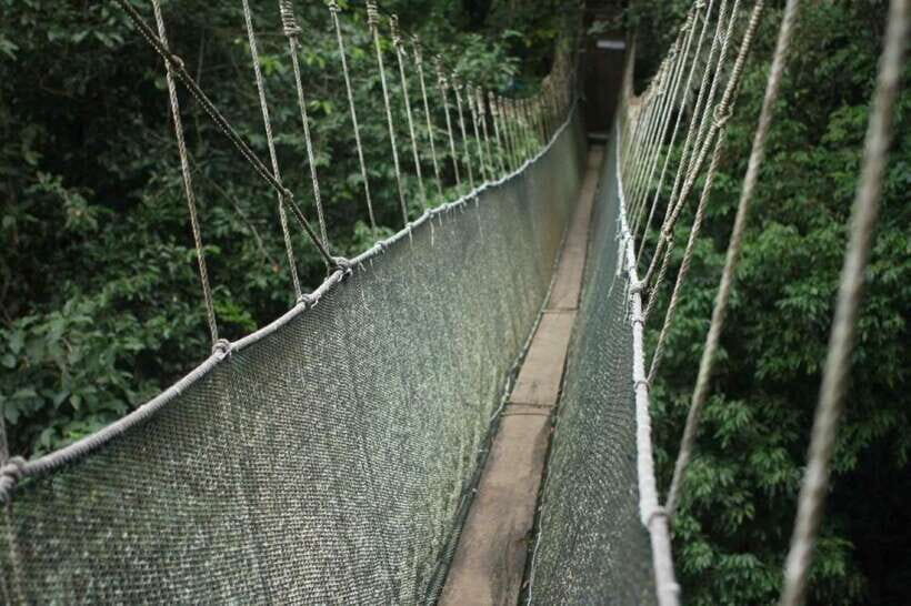 Kota Kinabalu: Private Kundasang and Poring Hot Spring Tour - What to Expect: Practical Details