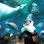 Kota Kinabalu: Seawalking, Snorkelling, Leisure Beach - Sepanggar Island: A Scenic Stop and Briefing Hub