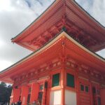 Koyasan: Half-Day Guided Tour - Okuno-in, Kongobuji & Danjo Garan - Who Is This Tour Best Suited For?