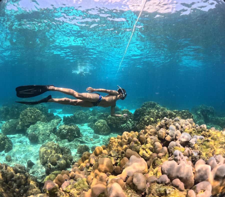 Krabi: 4-Island Freediving Day Tour with Lunch & Photos - What’s Included and What to Bring