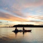 Krabi: Ao Thalane Mangrove Kayaking Tour with Pickup - What You Can Expect on the Tour