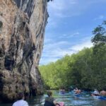 Krabi: Ao Thalane Mangrove Kayaking Tour with Pickup - A Deep Dive into the Ao Thalane Kayaking Experience