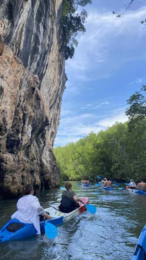 Krabi: Ao Thalane Mangrove Kayaking Tour with Pickup - A Deep Dive into the Ao Thalane Kayaking Experience