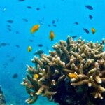 Krabi: Beat the Rush Early Bird 7 Islands & Railay Longtail - How This Tour Adds Value