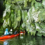 Krabi Bor Thor Eco Sea Cave Kayaking Experience - Why This Tour Is Perfect for You