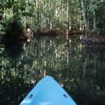 Krabi: Bor Thor Kayaking Adventure with Cave Exploration - The Itinerary in Detail