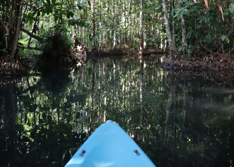 Krabi: Bor Thor Kayaking Adventure with Cave Exploration - Practical Details & Considerations
