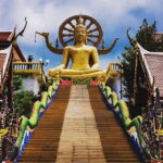 Krabi Discovery Half Day Tour - Practicalities and what you should know