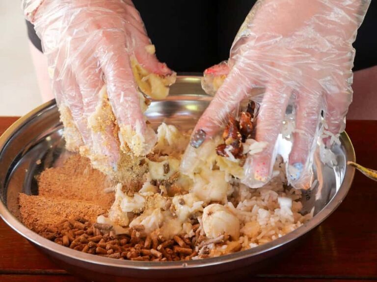 Krabi: Elephant Cook & Feeding Visit with Workshop - A Thorough Look at the Experience