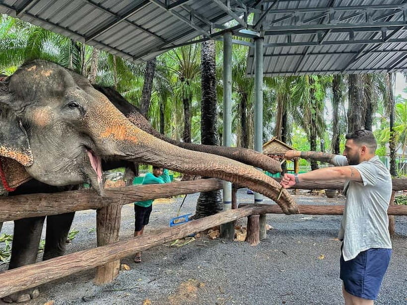 Krabi: Elephant Feeding Program with Food Preparation - What You Can Expect from the Experience