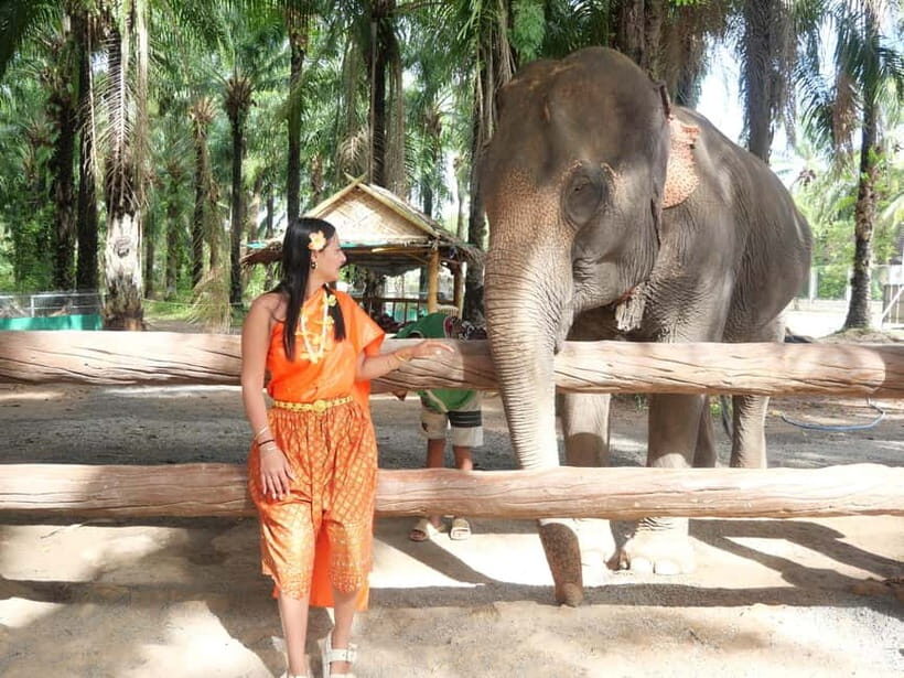 Krabi: Elephant Feeding Program with Traditional Thai Dress - What to Expect Step-by-Step
