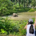 Krabi: Elephant Sanctuary Tour - Feeding & Painting Activity - FAQs