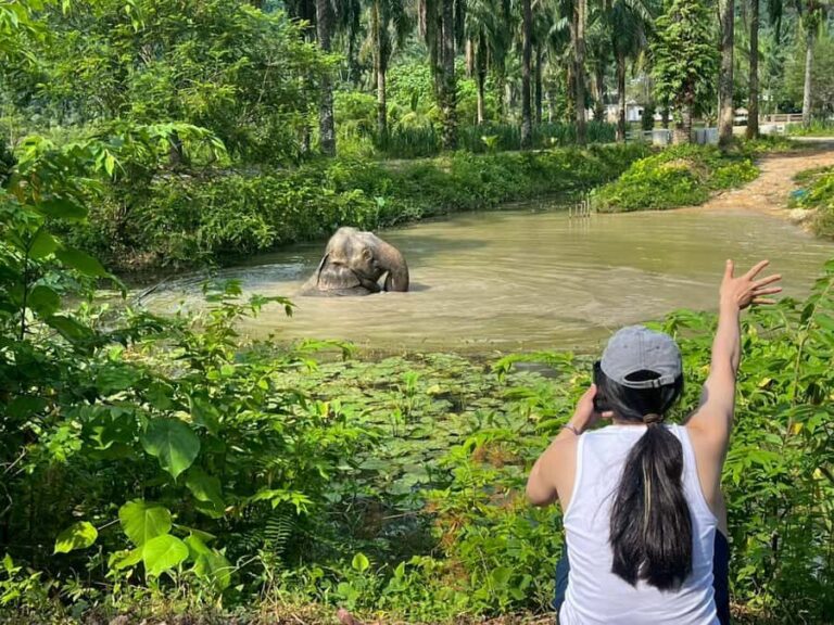 Krabi: Elephant Sanctuary Tour - Feeding & Painting Activity - FAQs