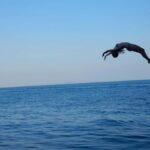 Krabi: Five Island Sunset Cruise by Big Double Decker Boat - The Food and Atmosphere