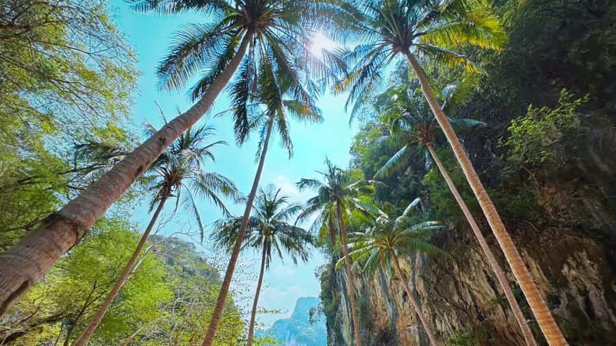 Krabi: Hong Islands Luxury Cruise on Vintage Wooden Boat - What Makes This Tour Stand Out?