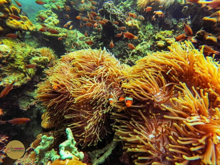 Krabi: Hong Islands Sunset, Bioluminescent Plankton and BBQ - The Itinerary Breakdown: What to Expect