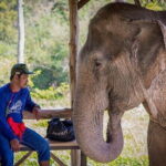 Krabi Immersive Elephant Sanctuary Experience - Value for Money