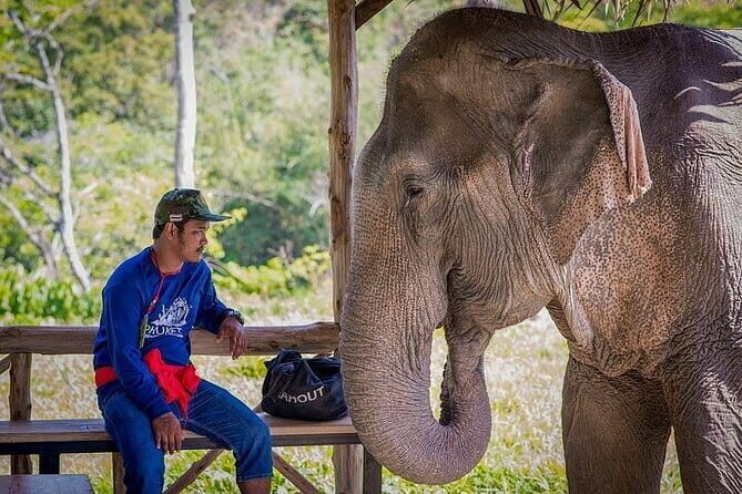 Krabi Immersive Elephant Sanctuary Experience - Value for Money