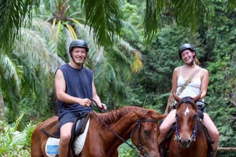 Krabi: Khao Thong Trail Horseback Riding Adventure - An In-Depth Look at the Krabi Horseback Riding Tour