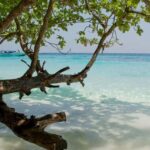 Krabi: Lazy Similan Islands Tour by Speedboat & Buffet Lunch - Detailed Breakdown of the Itinerary and Experience