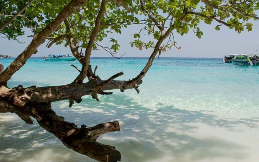 Krabi: Lazy Similan Islands Tour by Speedboat & Buffet Lunch - Detailed Breakdown of the Itinerary and Experience