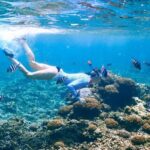 Krabi: Premium Phi Phi Islands Day Trip with Lunch & Snorkel - Who Is This Tour Best For?