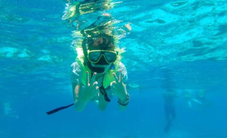 Krabi: Similan Islands Day Trip by Speedboat & Buffet Lunch - Practical Details and What to Expect