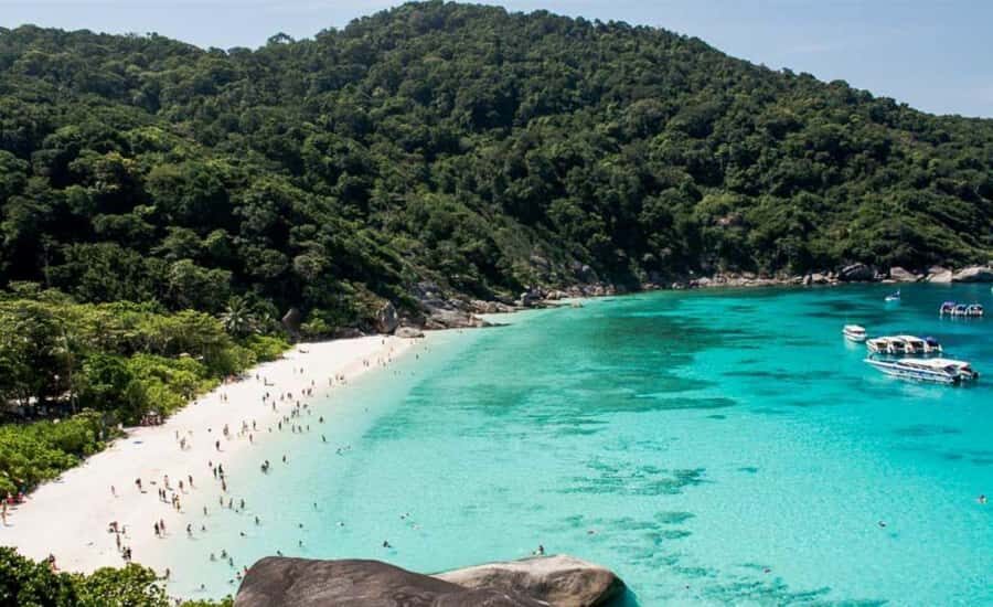 Krabi: Similan Islands Day Trip by Speedboat & Buffet Lunch - How the Experience Comes Together