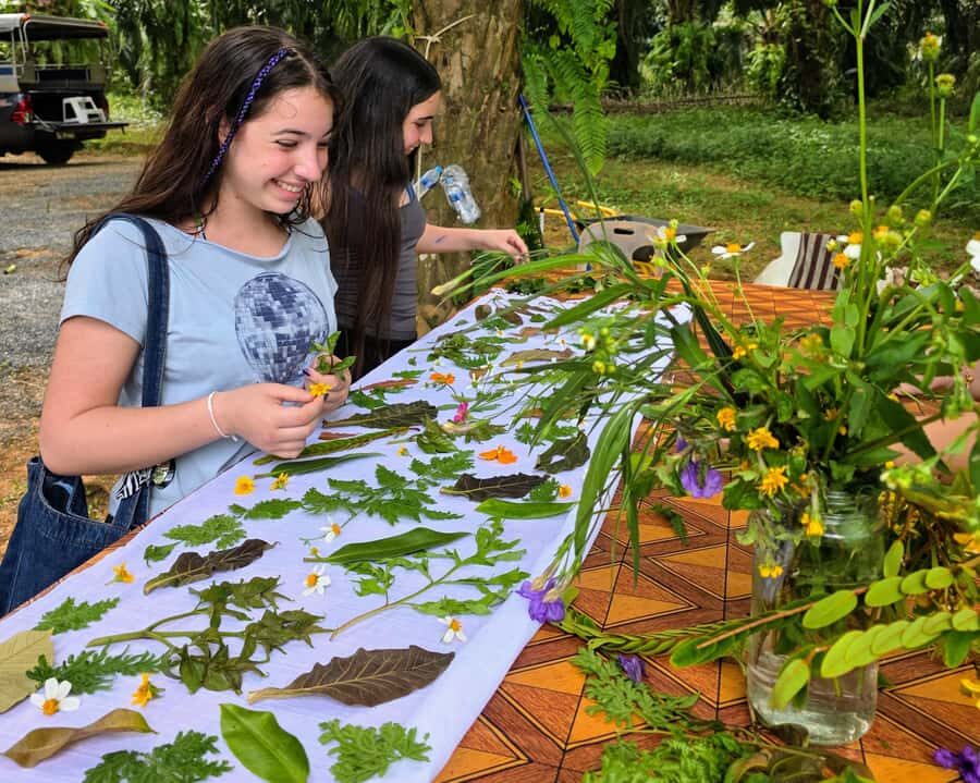 Krabi's Trio: Klong Root Kayak, Pineapple Farm & Local Art - Your Choice of Activities  