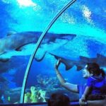 Kuala Lumpur: Aquaria KLCC Entry Ticket - Who Should Visit?