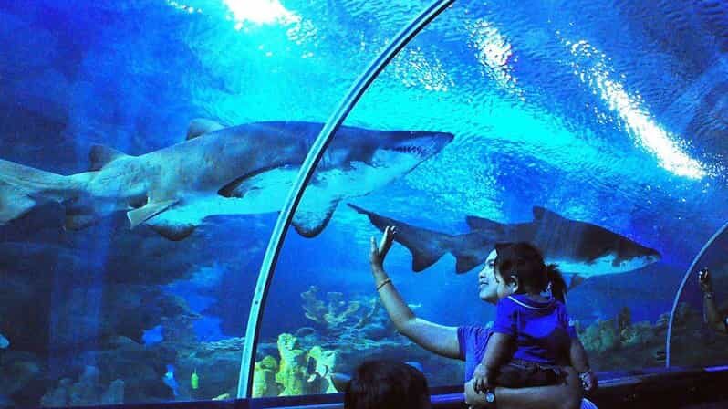 Kuala Lumpur: Aquaria KLCC Entry Ticket - Who Should Visit?