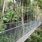 Kuala Lumpur Bus Tour Experience 3 Days - FAQs