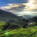 Kuala Lumpur: Cameron Highlands & Batu Caves Private Day Tour - Practical Considerations and Value