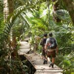 Kuala Lumpur Cameron Highlands & Tea Plantations Scenic Tour - Transportation & Group Size