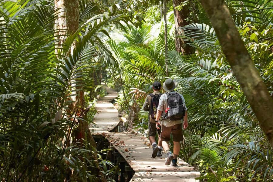 Kuala Lumpur Cameron Highlands & Tea Plantations Scenic Tour - Transportation & Group Size