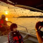 Kuala Selangor: Eagles, Fireflies & Blue Tears Boat Tour - A detailed look at the tour experience