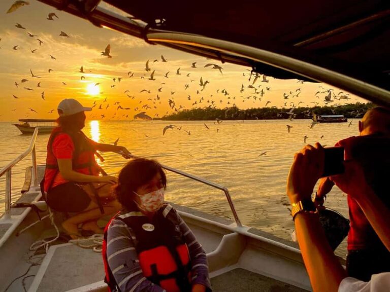 Kuala Selangor: Eagles, Fireflies & Blue Tears Boat Tour - A detailed look at the tour experience