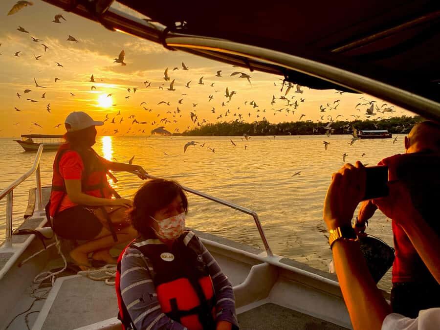 Kuala Selangor: Eagles, Fireflies & Blue Tears Boat Tour - A detailed look at the tour experience