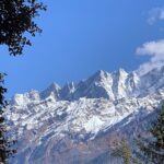 Kuari Pass Trek - Authentic Insights from Travelers