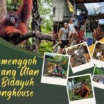 Kuching Orangutan & Bidayuh Longhouse - Who Should Consider This Tour?