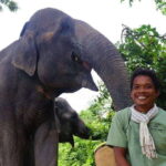 Kulen Elephant Forest Siem Reap in Small Group - What to Expect on the Kulen Elephant Forest Small Group Tour