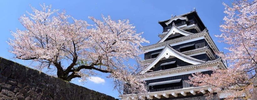 Kumamoto: Castle Admission Ticket - An In-Depth Look at the Kumamoto Castle Experience